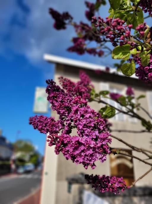 Gite Moussette - Bord De Mer - 4/6 Pers. Quinéville エクステリア 写真