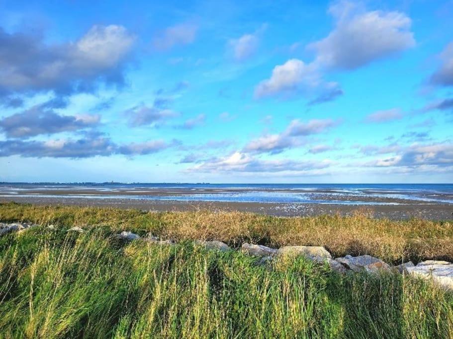 Gite Moussette - Bord De Mer - 4/6 Pers. Quinéville エクステリア 写真