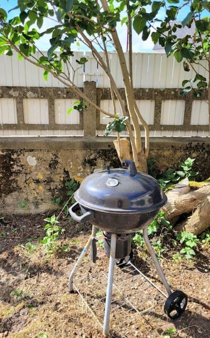 Gite Moussette - Bord De Mer - 4/6 Pers. Quinéville エクステリア 写真