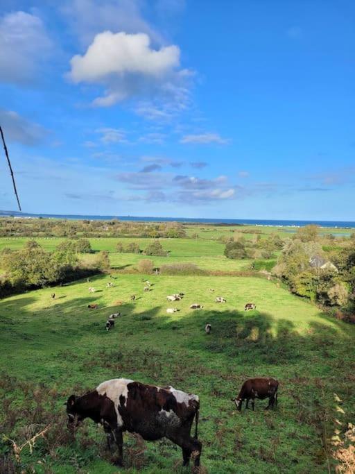 Gite Moussette - Bord De Mer - 4/6 Pers. Quinéville エクステリア 写真
